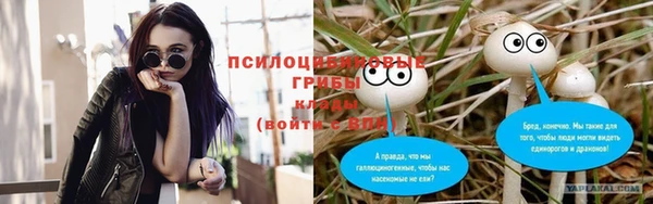 MESCALINE Аркадак