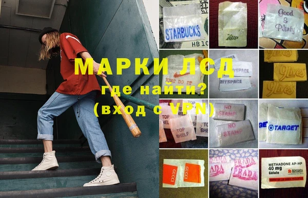 MESCALINE Аркадак