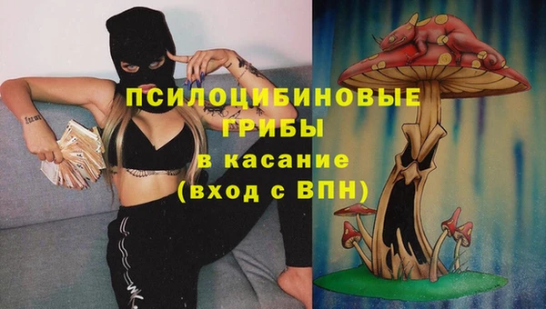 MESCALINE Аркадак