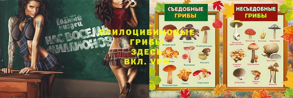 MESCALINE Аркадак