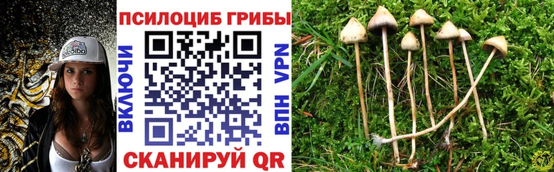 Галлюциногенные грибы Psilocybine cubensis  Рузаевка 