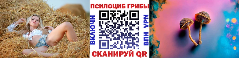 Галлюциногенные грибы Cubensis Рузаевка